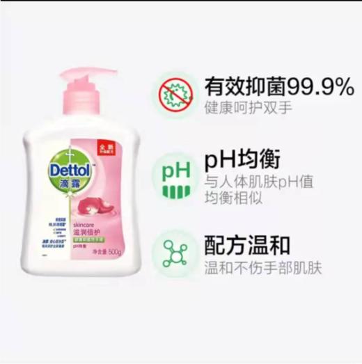 滴露Dettol健康抑菌洗手液滋润倍护500g+500g瓶装补充液 抑菌99.9% -积分兑换 商品图1