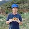 老实芭蕉干 | 合作生产 | 基地直发包邮 * Laoshi Banana Dried Slices 商品缩略图0
