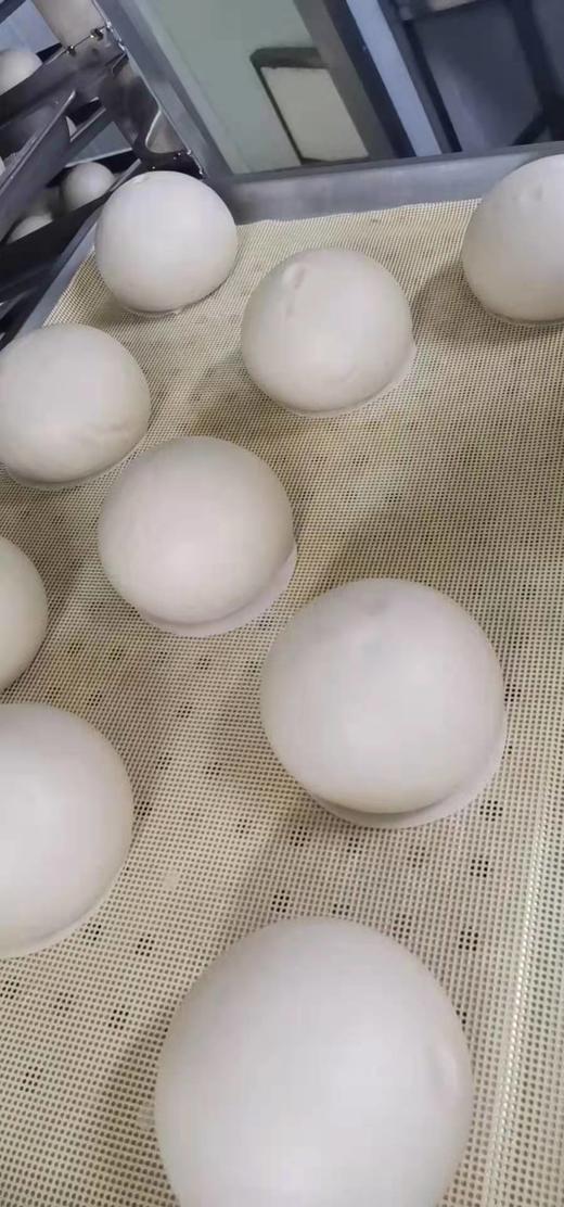 自然馒头  自然农法种植，山泉水和面，老面发酵，O添加，自然酵母 商品图4