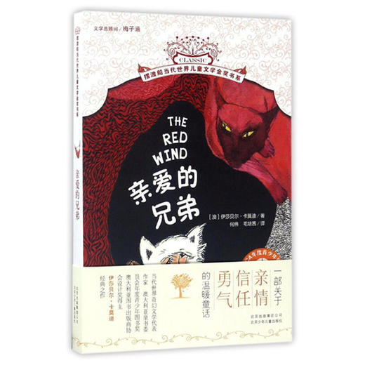 摆渡船当代儿童文学：亲爱的兄弟 商品图0