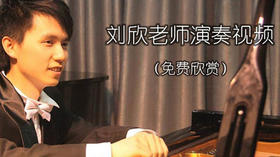 刘欣老师演奏视频