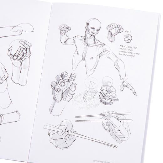 【中商原版】【Morpho系列】手和脚 进口艺术 Morpho: Hands and Feet 人体结构绘画技巧素描美术技法指南 商品图3