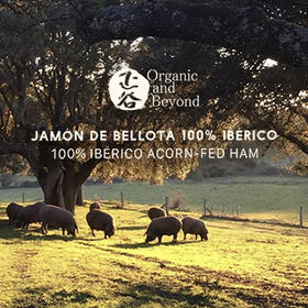  火腿奶酪礼盒 | 分享有机自然美味 