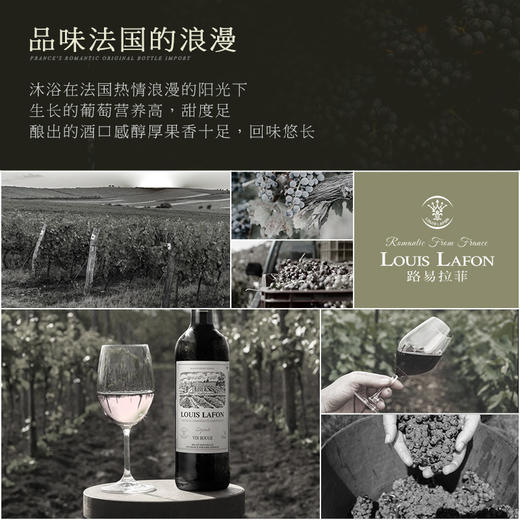 【法国路易拉菲】路易拉菲传说/传承/传奇系列干红葡萄酒 法国原瓶进口 商品图10
