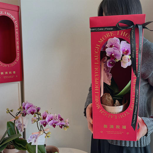 祝福满满  高级感蝴蝶兰礼盒 商品图0
