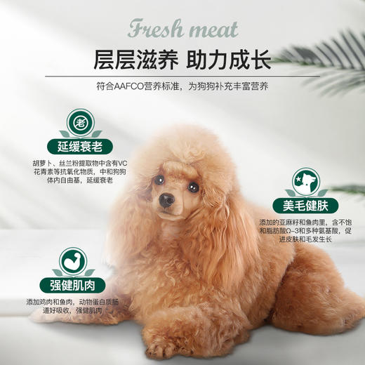 【泰迪&贵宾】【成犬】专用狗粮★5斤 商品图1