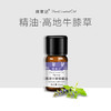 【开放下单】择草记高地牛膝草精油 商品缩略图0