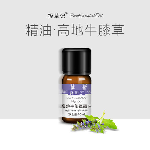 【开放下单】择草记高地牛膝草精油 商品图0