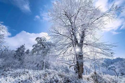 【喇叭河·蓝水晶大酒店】699元 / 899元住宿+门票+索道票+观光票，领略“北欧”云海、鹿群的童话世界 商品图3