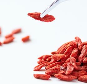 滋补季 | 冬吃枸杞正当时