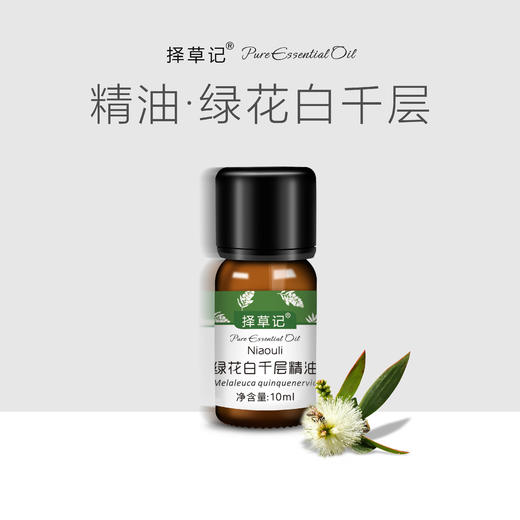 【开放下单】择草记绿花白千层精油 商品图0