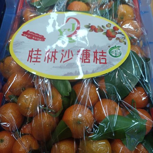 沙糖桔一件 商品图0