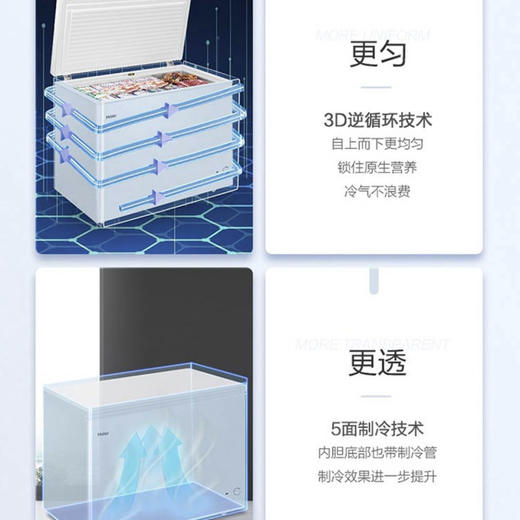 海尔（Haier）冷柜BC/BD-303HD白 商品图9