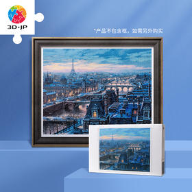 2000片 平面拼图 塑料拼图 H2773 Evgeny Lushpin-塞纳河畔