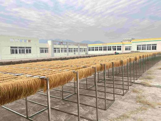 有机红薯粉丝 商品图11