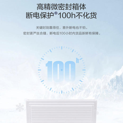 海尔（Haier）冷柜BC/BD-303HD白 商品图6