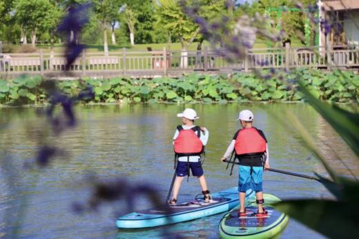 -嘉兴站-ACA桨板考证夏令营 商品图0