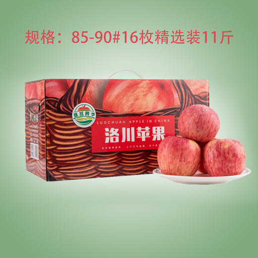 洛川红富士苹果精品礼盒85-90#16枚精选装11斤 商品图0