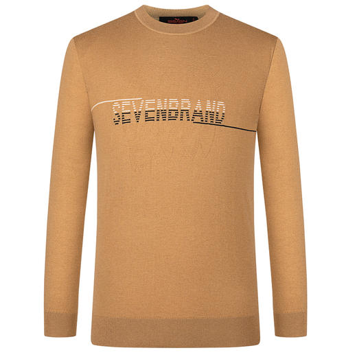 【特价】柒牌毛衣男春秋款时尚潮流百搭圆领字母条纹长袖青年含羊毛针织衫	122Y70050 商品图4