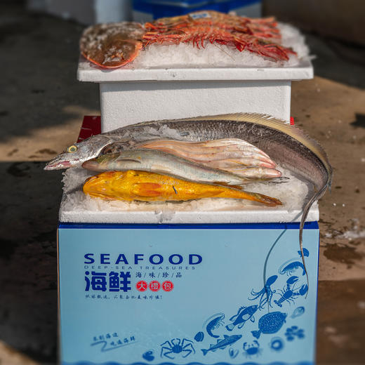 【海鲜盛宴】 4款套餐 海鲜礼盒·提货券海鲜套餐大礼包 家庭储备囤货食品企业团购 商品图7