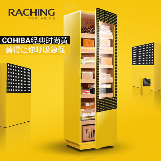 美晶/RACHING 雪松木保湿加湿柜护肤品冷藏柜蔬菜茶叶储物柜烟柜 商品图0