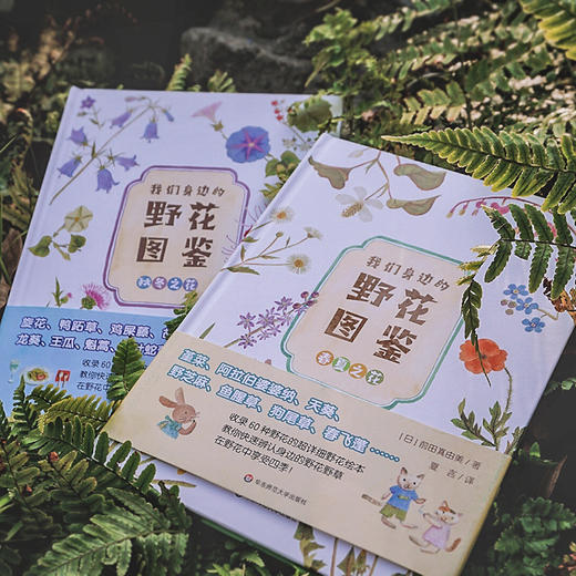 我们身边的野花图鉴 春夏+秋冬2册 彩铅手绘图鉴 科普博主刘夙 商品图1