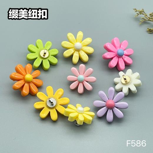 F586(整包购买) 商品图0