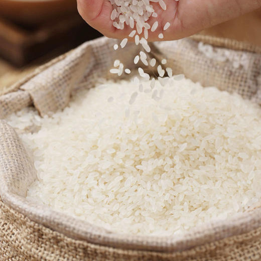 s【优选】新疆察布查尔 伊美乡蟹田香米5kg/袋 商品图2