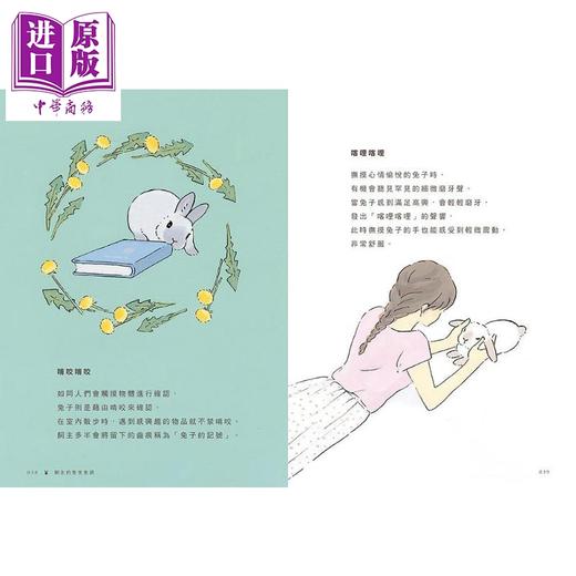 预售 【中商原版】兔言兔语 来自世界各地的可爱兔子用语 港台原版 Graphic-sha 森山标子 远流 精装 绘本 商品图4