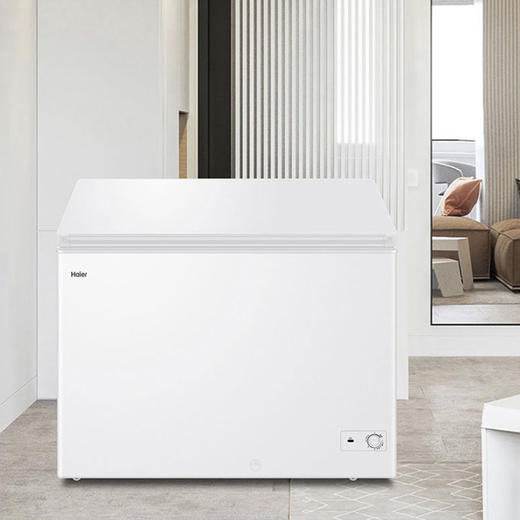 海尔（Haier）冷柜BC/BD-303HD白 商品图13