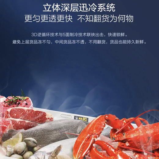 海尔（Haier）冷柜BC/BD-303HD白 商品图8