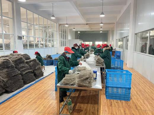 有机红薯粉丝 商品图14