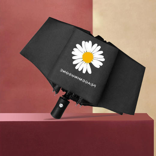 【雨伞】-小雏菊雨伞广告太阳伞雨伞女雨伞全自动三折布朗熊雨伞太阳伞便携 商品图1