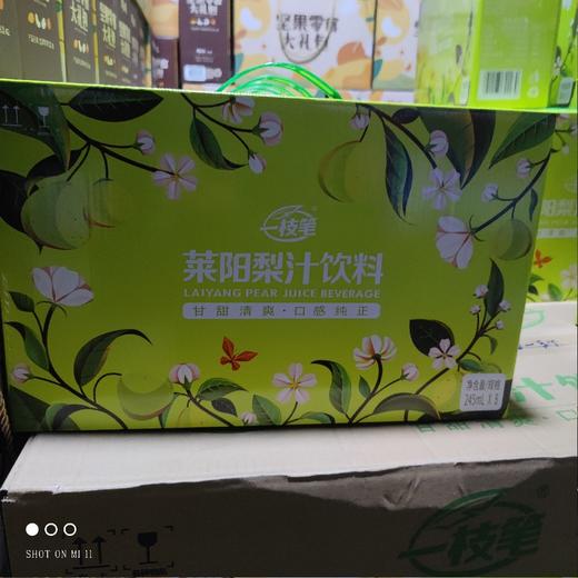 一支笔 莱阳梨汁饮料 245ml*8 商品图0
