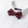 【特价】柒牌男士西服配饰领结年新款时尚青年百搭宴会婚庆蝴蝶结领结	122F71970 商品缩略图1
