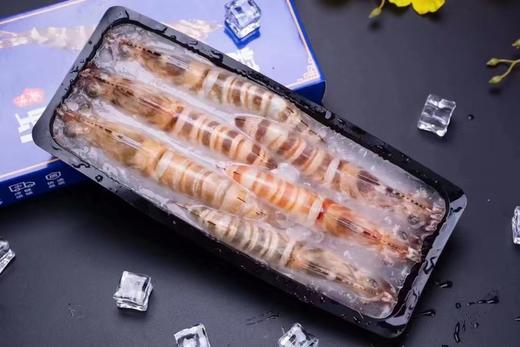 野生斑节虾（东山岛） 商品图6