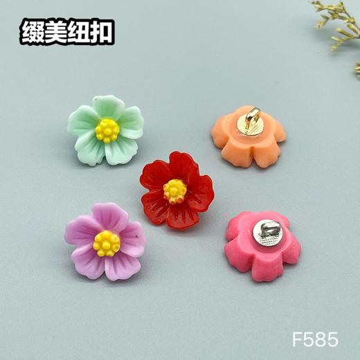 F585(整包购买) 商品图0