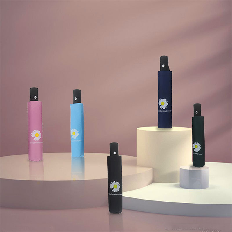 【雨伞】-小雏菊雨伞广告太阳伞雨伞女雨伞全自动三折布朗熊雨伞太阳伞便携