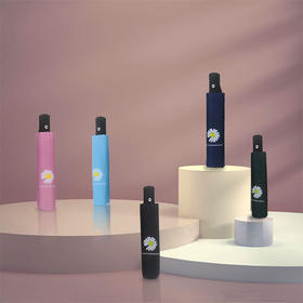 【雨伞】-小雏菊雨伞广告太阳伞雨伞女雨伞全自动三折布朗熊雨伞太阳伞便携