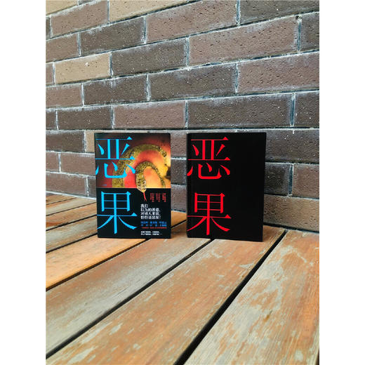恶果 商品图2