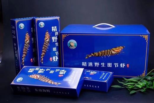 野生斑节虾（东山岛） 商品图5