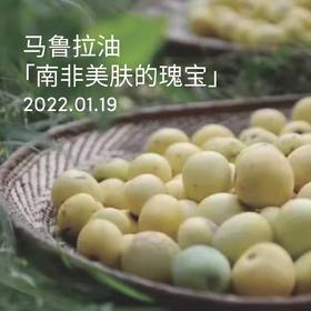 它是抗氧化的加「油」站