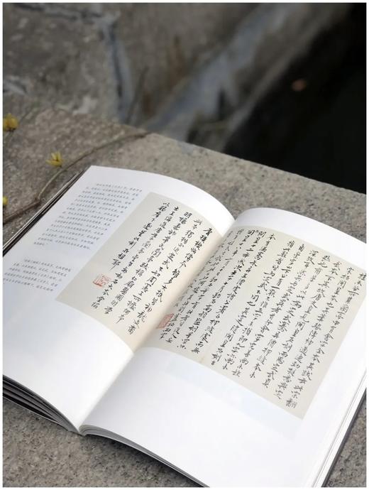 藏书票+签名：《澹宕璨然：海日楼旧藏古籍碑帖撷颖》，16开平装，240页，陆易、陈翌伟合著，浙江人民美术出版社2021年12月版，定价160，签名藏书票本160元。 商品图7