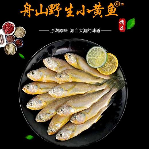 舟山小黄鱼 约500g/袋 商品图2