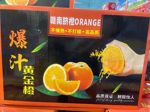 脐橙 赣南脐橙礼盒装 商品图0