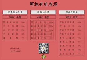 年货大礼包888