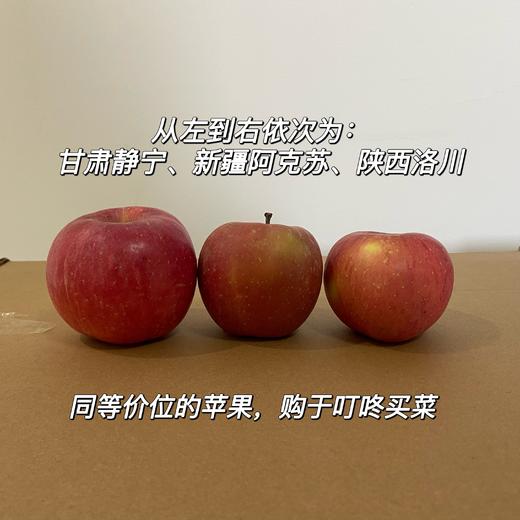 童年味道：产地直发，甘肃静宁一级大果，现采现摘，二十年果农出品 商品图6