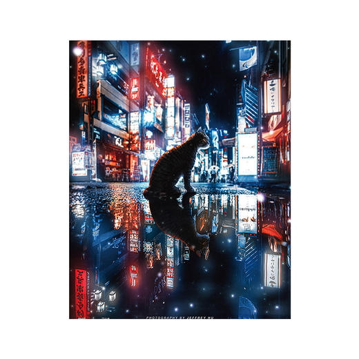 【折扣商品 不退不换】500片 平面拼图 塑料拼图 H2747 JeffreyHu-Stray Cat 商品图0