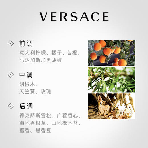 Versace范思哲爱罗斯烈爱男士香水 商品图1