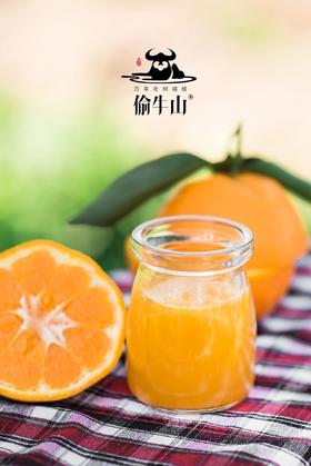 四川.乐山偷牛山  有机春见耙耙柑